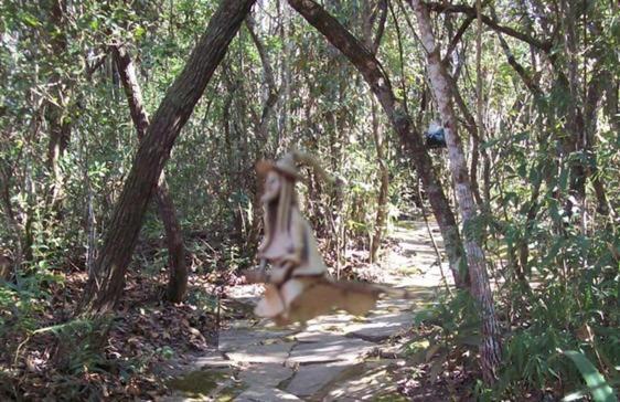 Chales City Camael São Tomé das Letras エクステリア 写真